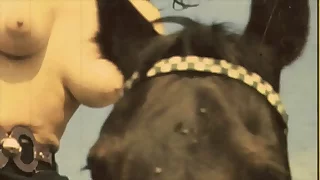 Vintage Babes With Pets