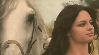 Blacklist Lantern Diversion largess 'Women With Animals'